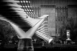 IMG_8478-Verbessert-RR