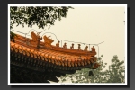 Peking-2012-11
